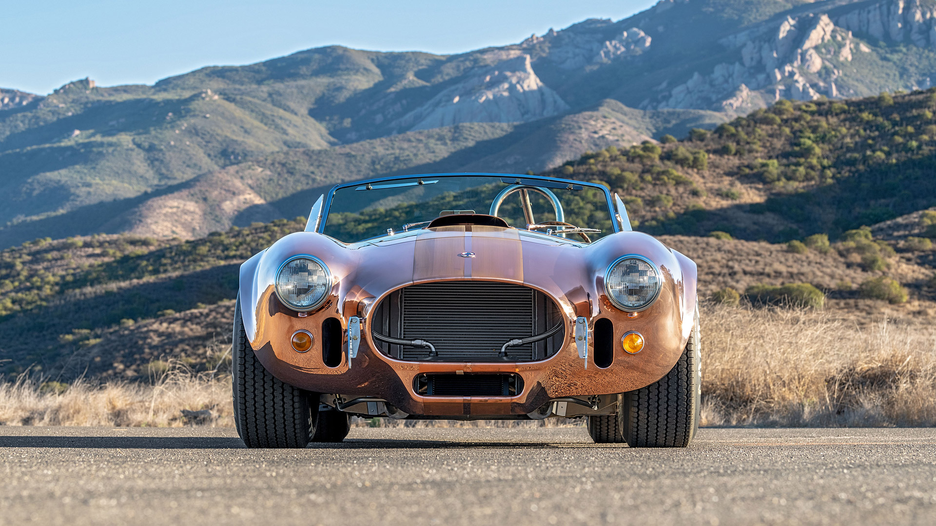 1965 Shelby Cobra 427 SC 3
