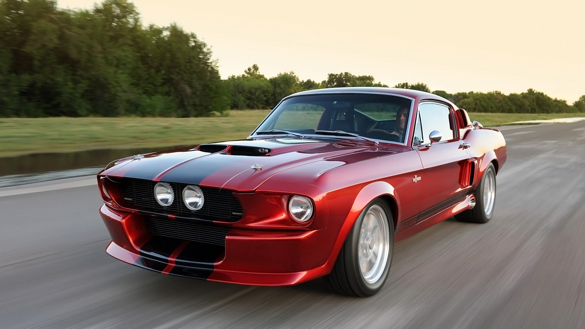 Shelby