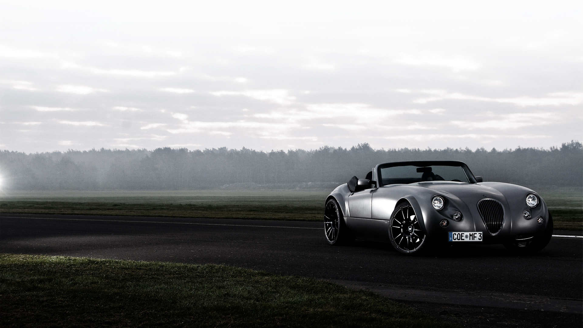 Wiesmann